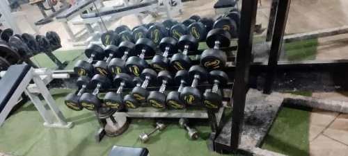 Sport