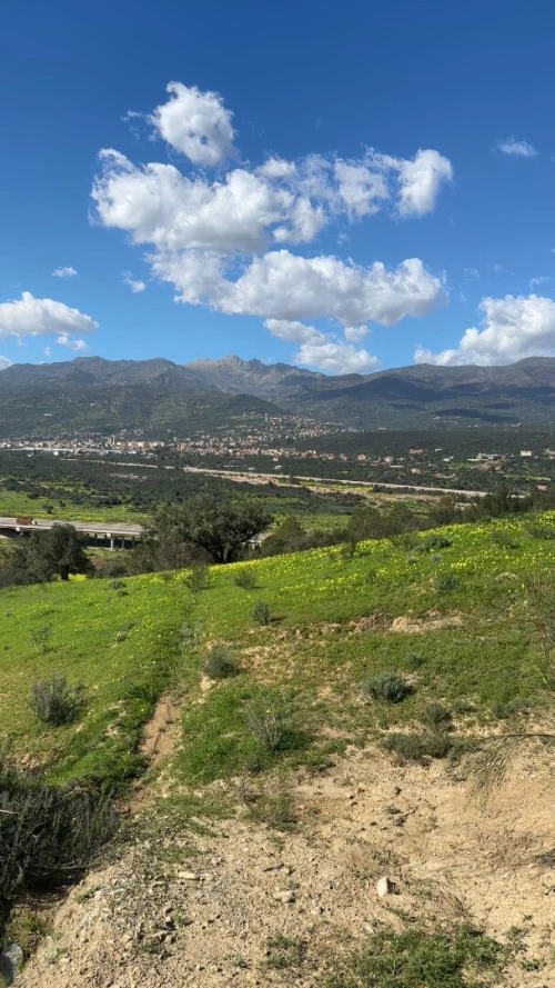 Vente Terrain Béjaïa Seddouk