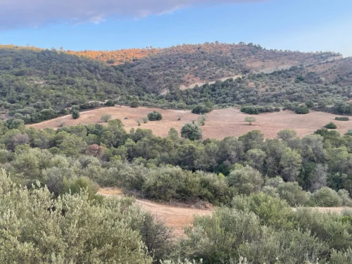 Vente Terrain Béjaïa Seddouk