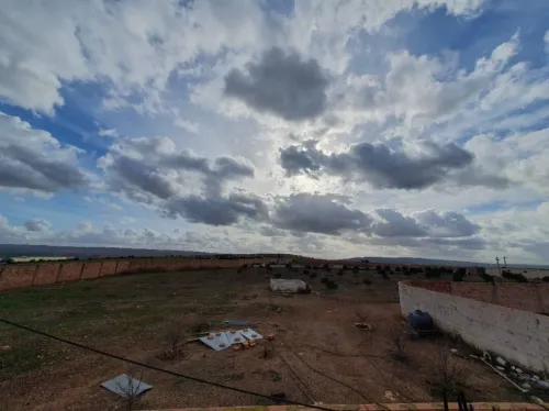 Vente Terrain Agricole Oran Boufatis