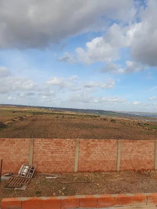 Vente Terrain Agricole Oran Boufatis