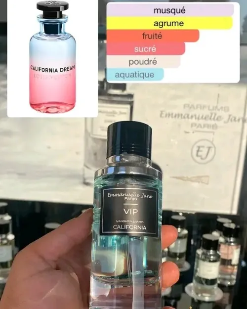 COLLECTION VIP 90 ML Emmanuelle jane paris
