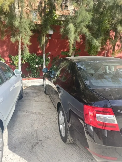 Skoda Octavia 2019 Business