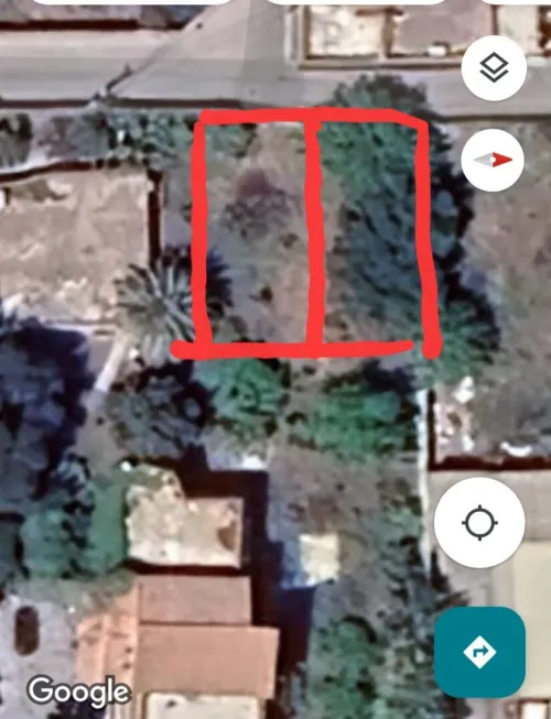Vente Terrain Alger Les eucalyptus
