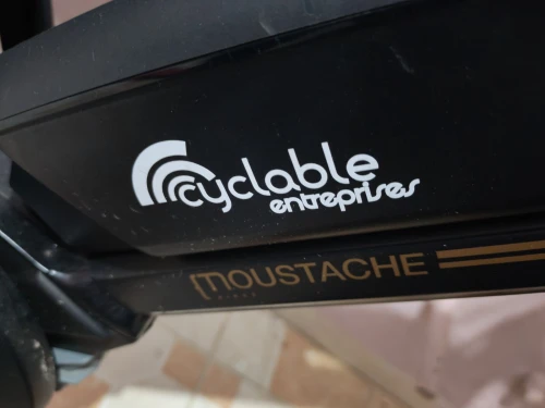 Vélo électrique moustache Bosch