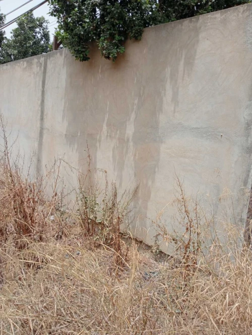 Vente Terrain Alger Les eucalyptus