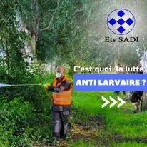 Désinsectisation: cafards , moustiques ,fourmis, punaises de lit, puces , mites et insectes rampants et volants