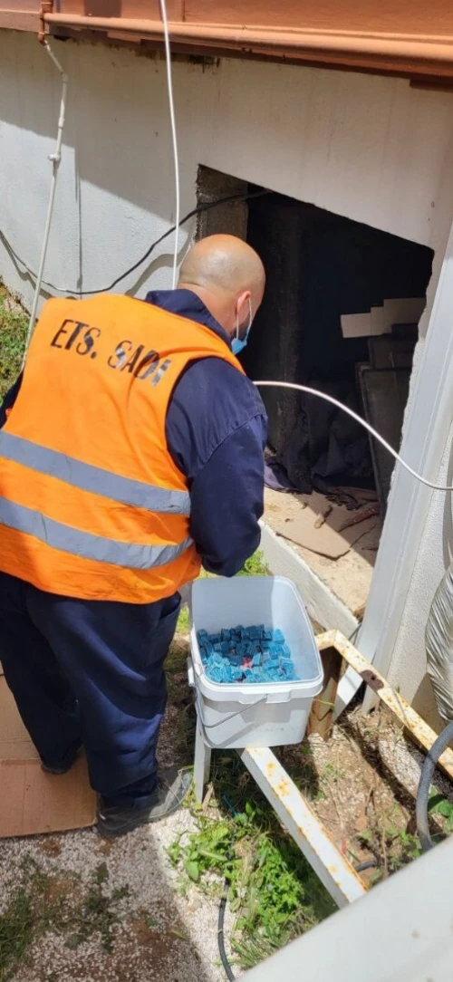 Dératisation : Rats et Souris