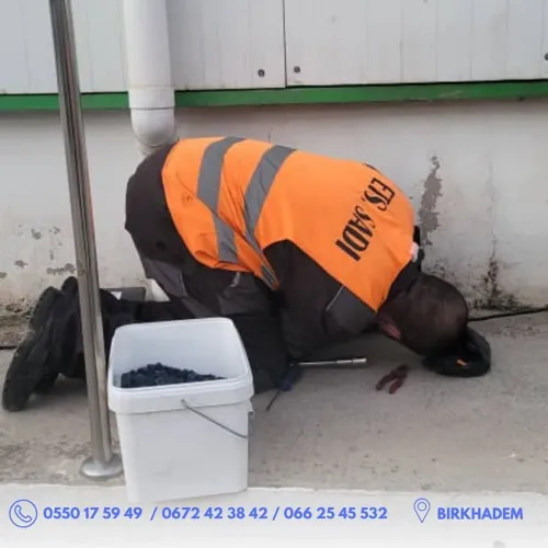 Dératisation : rat et souris, Désinsectisation : cafards, fourmis, puces, punaises de lit. Démoustication. Désinfection