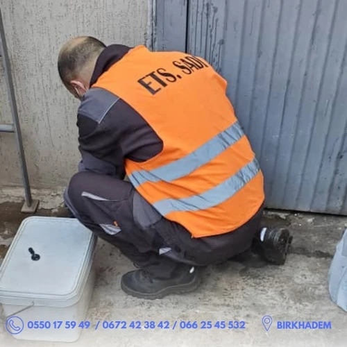 Dératisation : rat et souris, Désinsectisation : cafards, fourmis, puces, punaises de lit. Démoustication. Désinfection