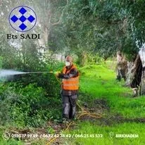 Désinsectisation: cafards , moustiques ,fourmis, punaises de lit, puces , mites et insectes rampants et volants