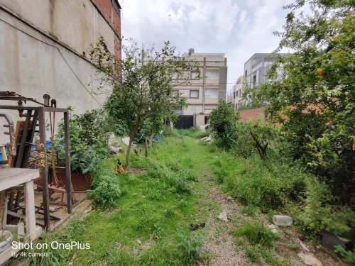 Vente Terrain Blida Beni tamou