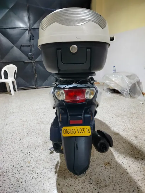 Joki Joki 2023