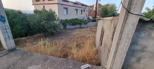 Vente Terrain Tizi Ouzou Ait chaffaa 6