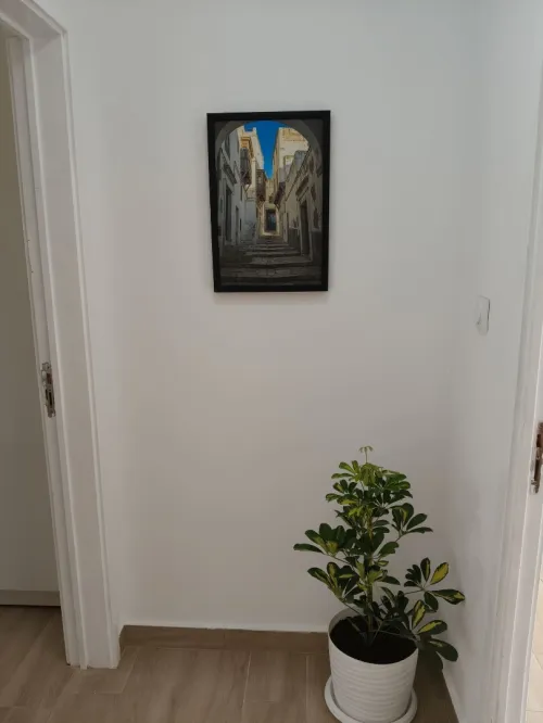 Location Appartement F4 Alger Dely brahim