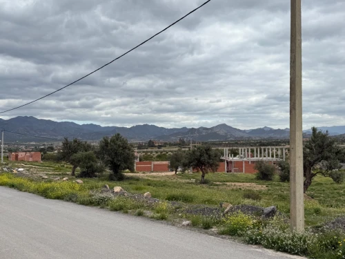 Location Terrain Bouira Ath mansour taourirt