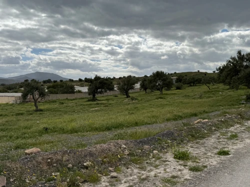Location Terrain Bouira Ath mansour taourirt