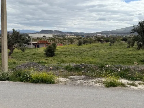 Location Terrain Bouira Ath mansour taourirt