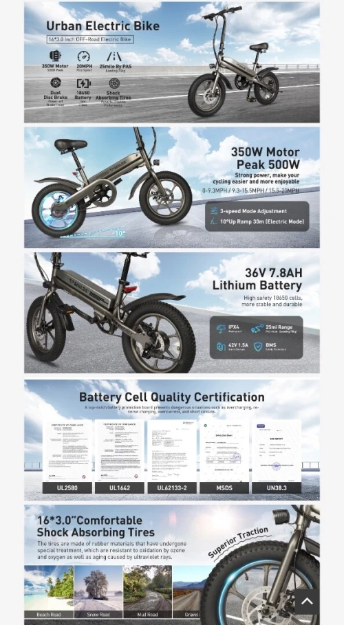 Electric Bike