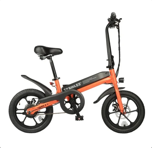 Electric Bike