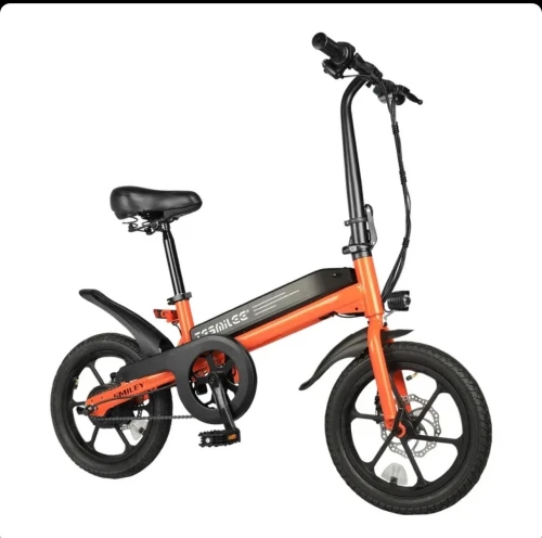 Electric Bike