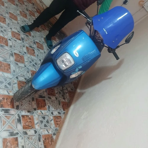 Cuxi Cuxi 2021