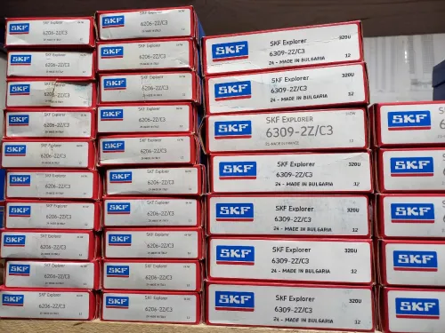 skf relzane