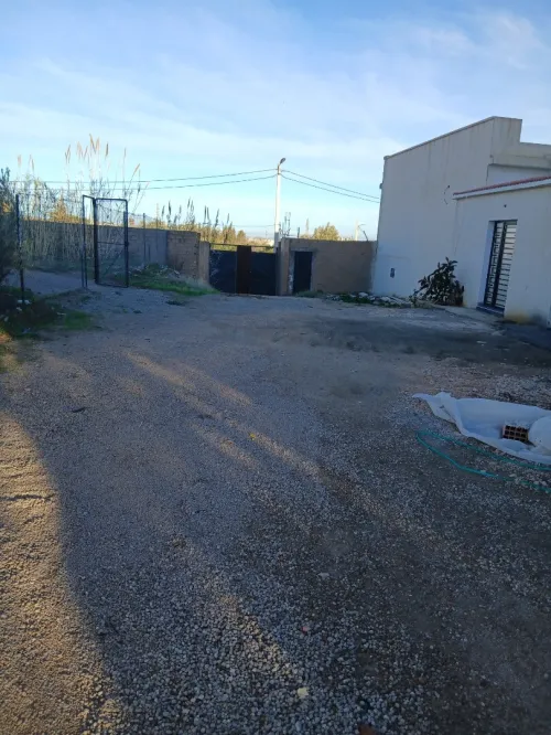 Vente Terrain Tlemcen Tlemcen