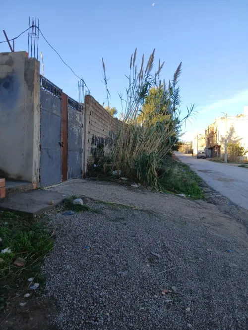 Vente Terrain Tlemcen Tlemcen