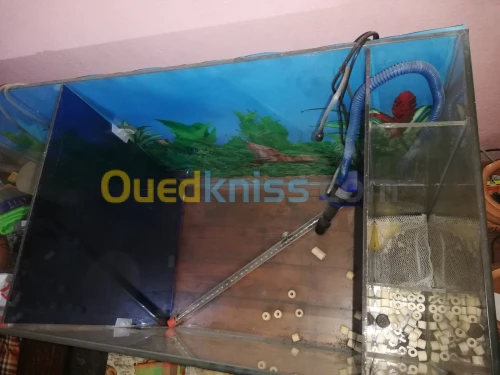 Aquarium pour poisson 100x40x50