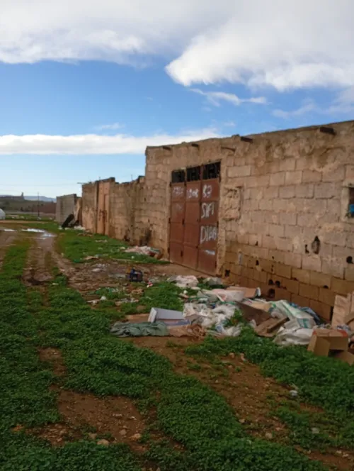 Vente Terrain Agricole Aïn Témouchent Sidi safi