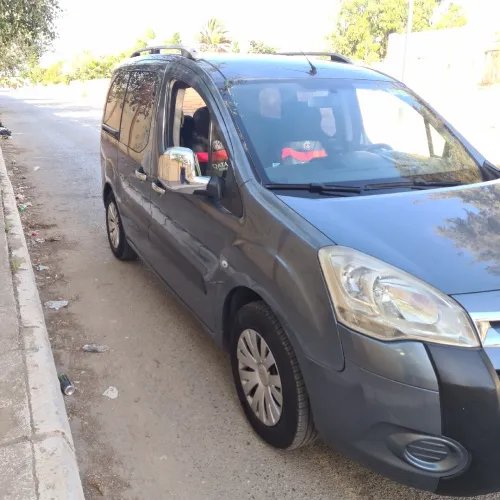 Citroen Berlingo 2010 Berlingo