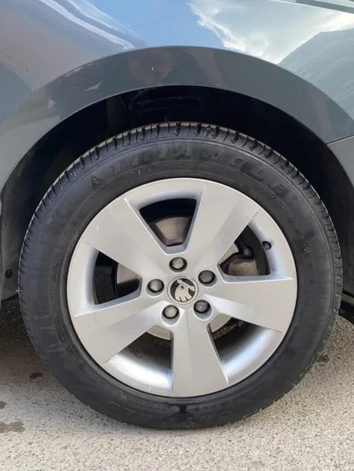 Skoda Fabia 2019 Style