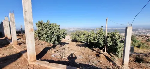 Vente Terrain Blida Meftah