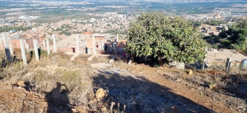 Vente Terrain Blida Meftah