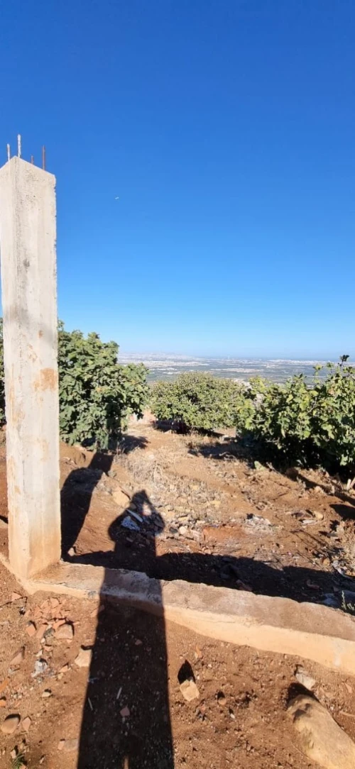 Vente Terrain Blida Meftah