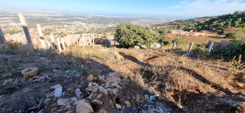 Vente Terrain Blida Meftah