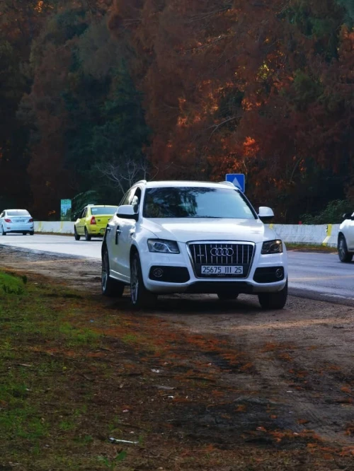Audi Q5 2011 S Line Pack Tech