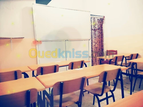 Enseignant Particulier - Professeur Individuel - Cours de Soutien BAC 2026 