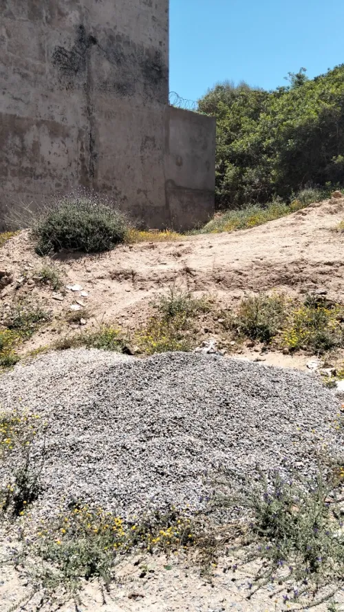 Vente Terrain Aïn Témouchent Beni saf