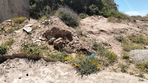 Vente Terrain Aïn Témouchent Beni saf