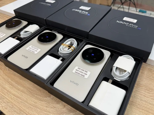 Vivo X300 Pro 16/512
