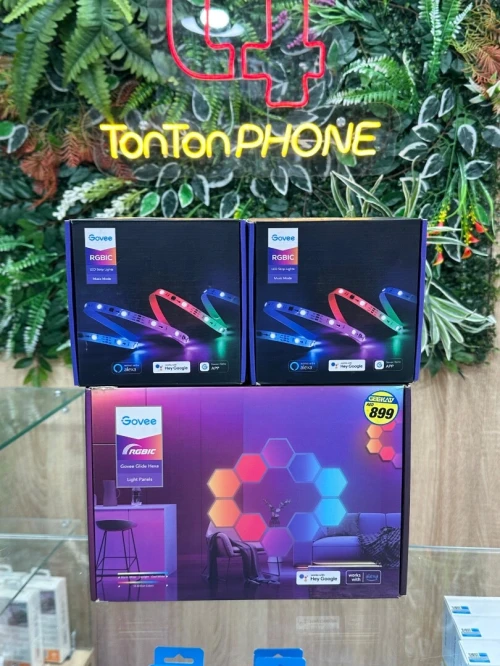Govee Led RGBIC