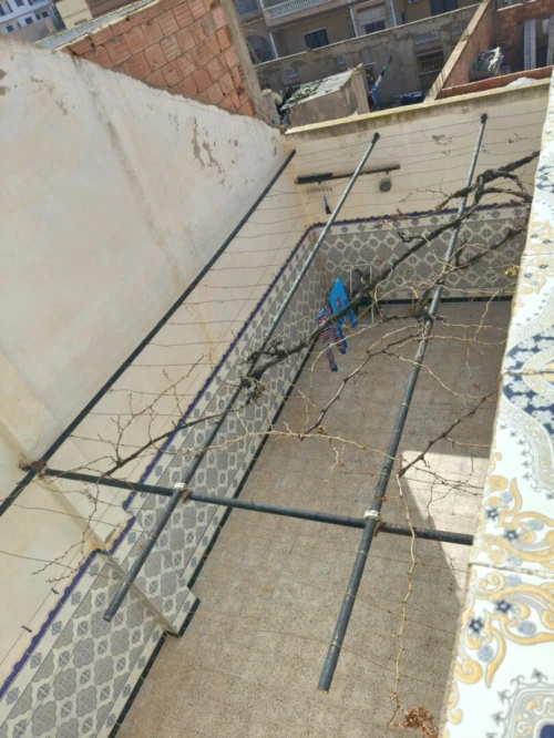 Vente Villa Oran Bir el djir