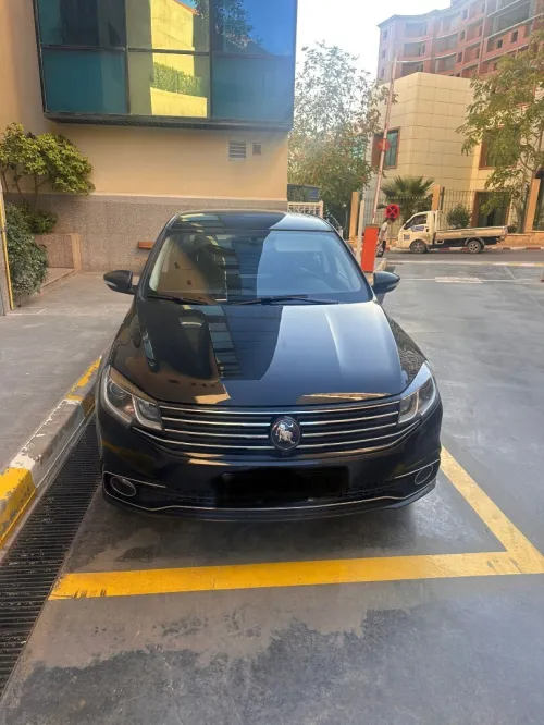 DF Joyear  S50 2025 Cuire