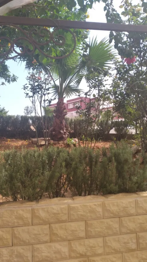 Vente Appartement F3 Alger Baba hassen
