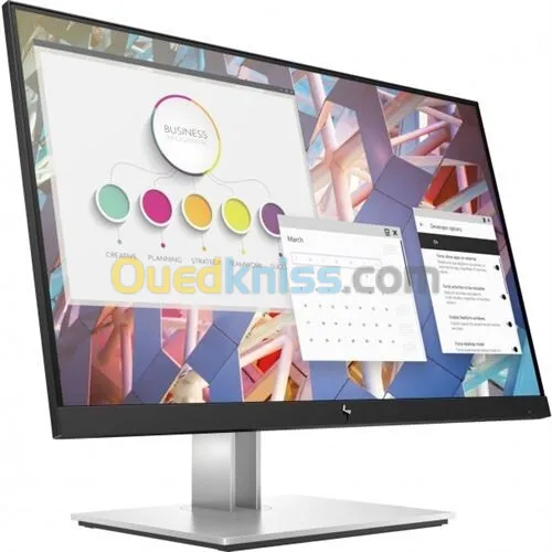 Écran 23,8" Full HD HP E24 G4 POUR PC