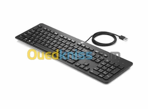 CLAVIER HP USB Professionnel Ultra-Plat