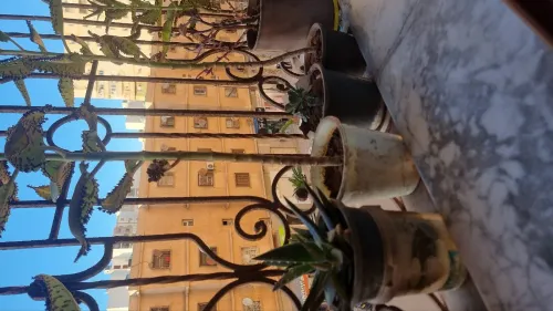 Vente Appartement F3 Oran Oran
