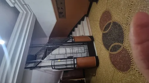 Location Appartement F4 Oran Oran